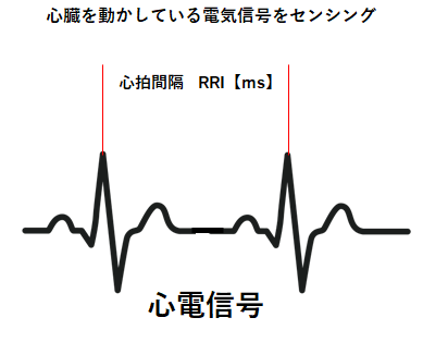 心拍変動解析のイメージ図